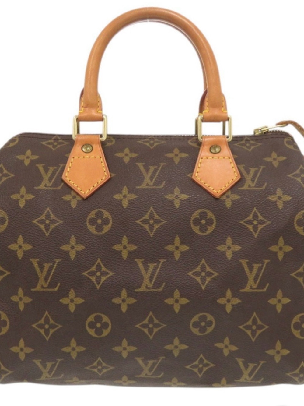 Monogram Canvas Speedy Bag in Brown